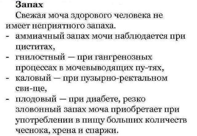 К чему снится моча, толкование сна про мочу по сонникам