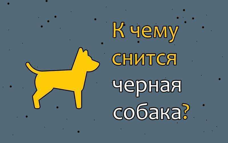 Листаем сонник: собака лает. толкование сна, его значение и выбор сонника - tolksnov.ru