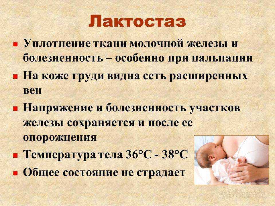 К чему снится грудное молоко: видеть много молока, кормить грудью или сцеживать, особенности толкования
