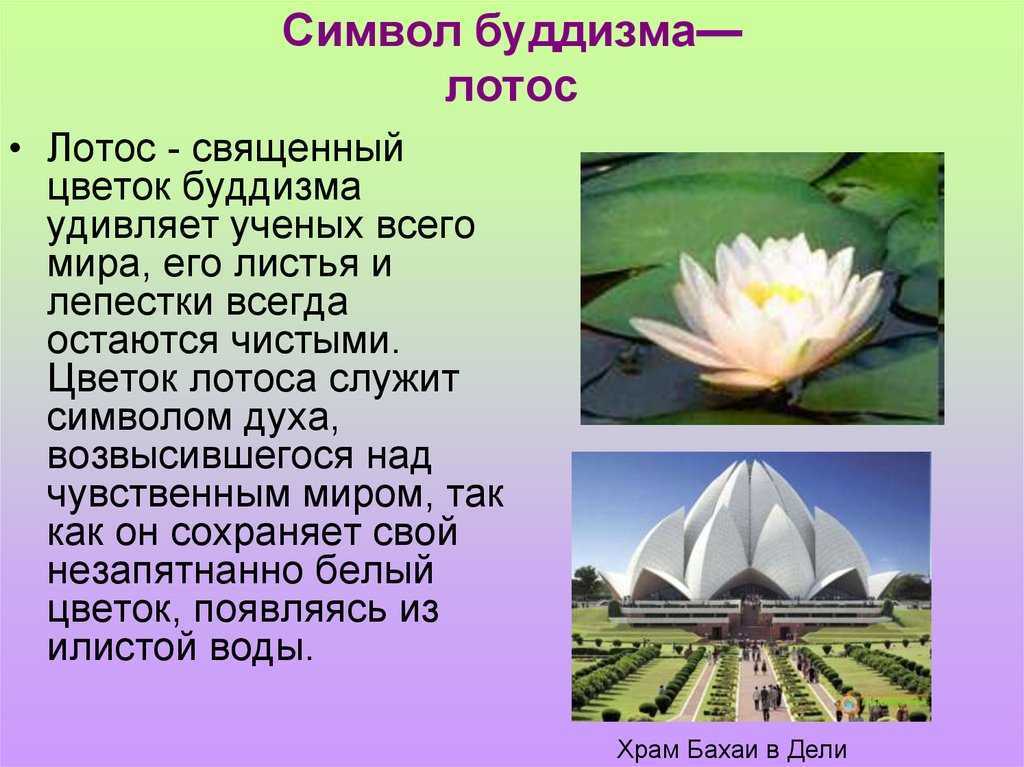 Сурат