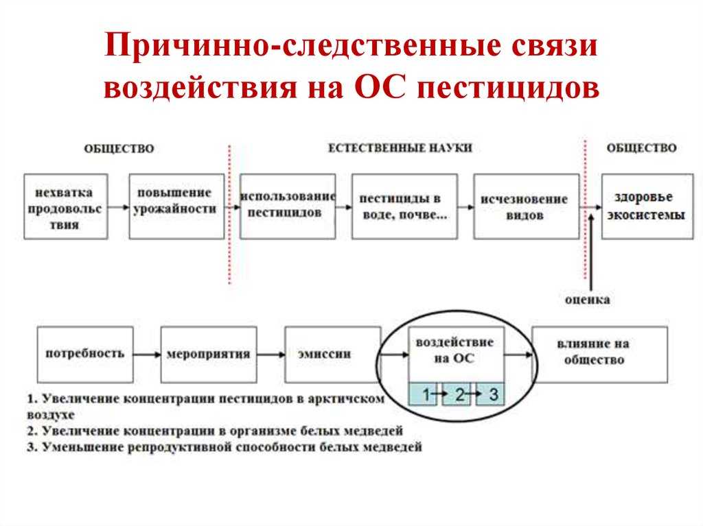 Соляр: что важно знать про астрологический день рождения?