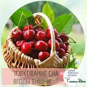 К чему снится вишня во сне - ищем толкования