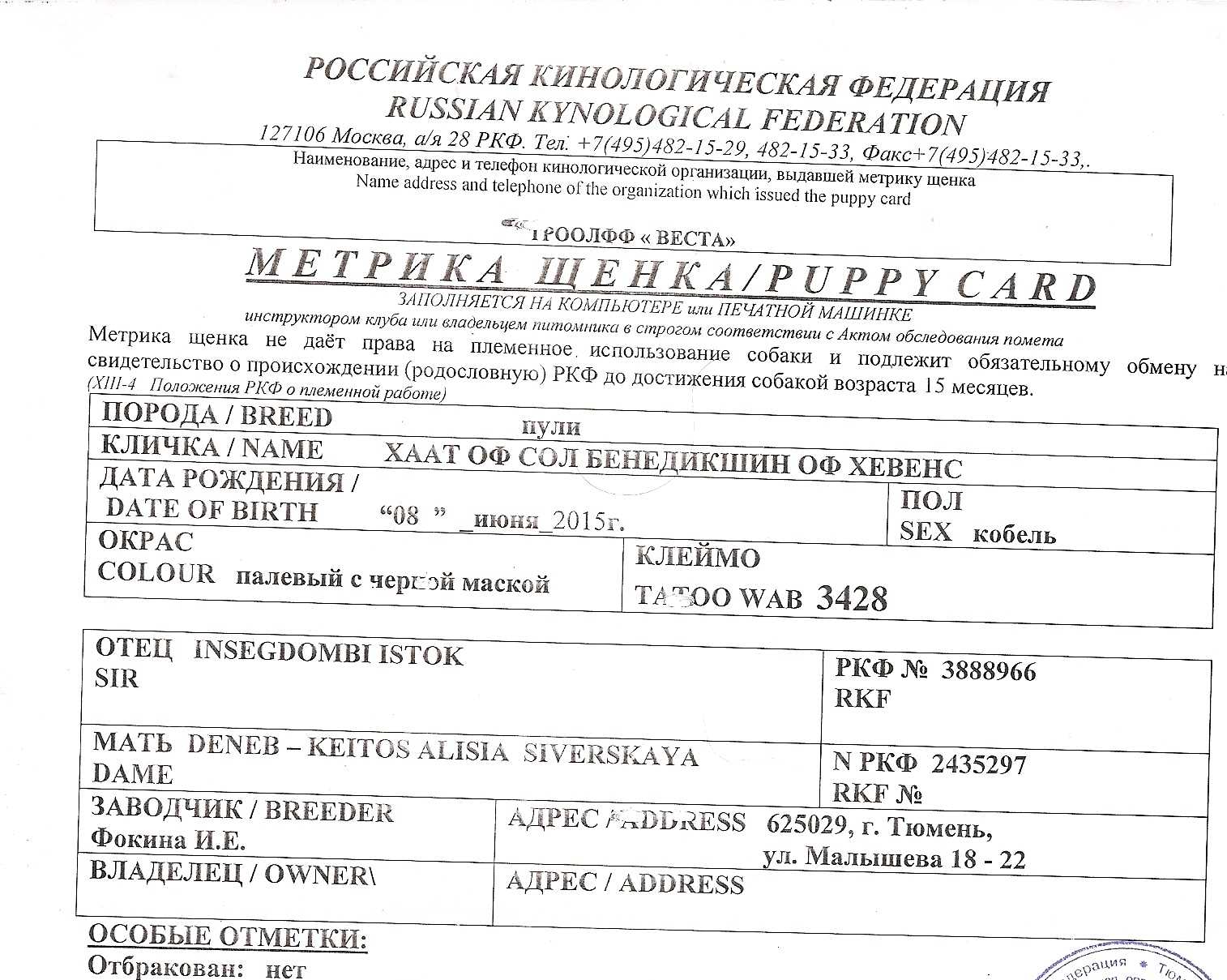 Как проверить родословную собаки: самые простые способы - truehunter.ru
