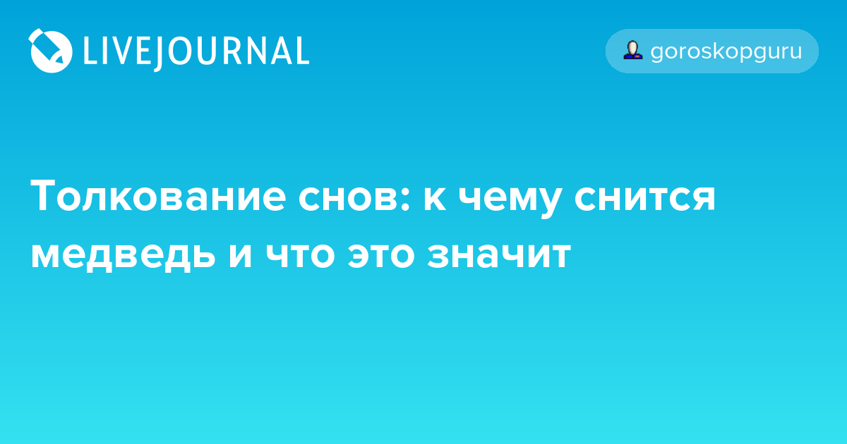 Сонник: к чему снится медведь женщине