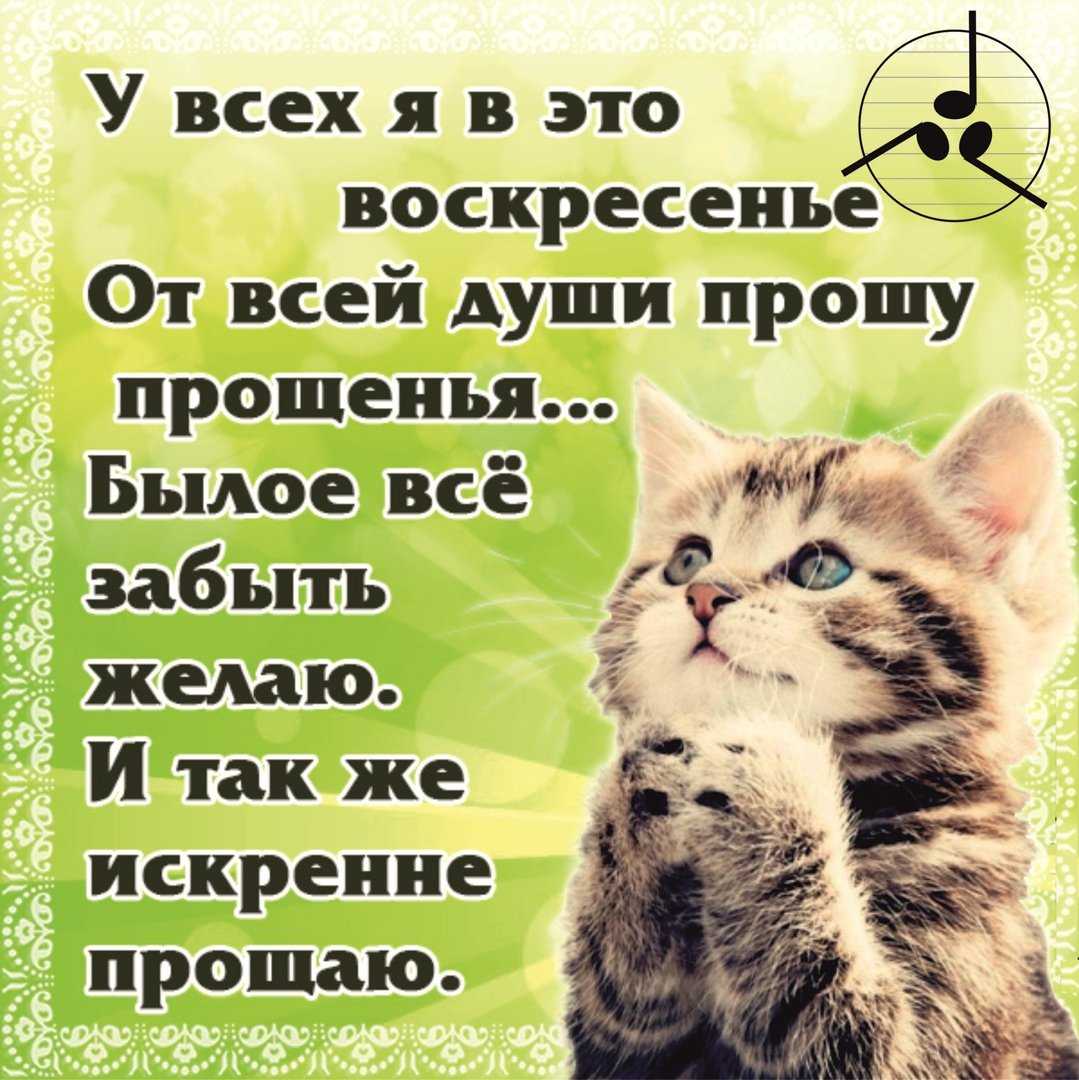 К чему снится прощение?