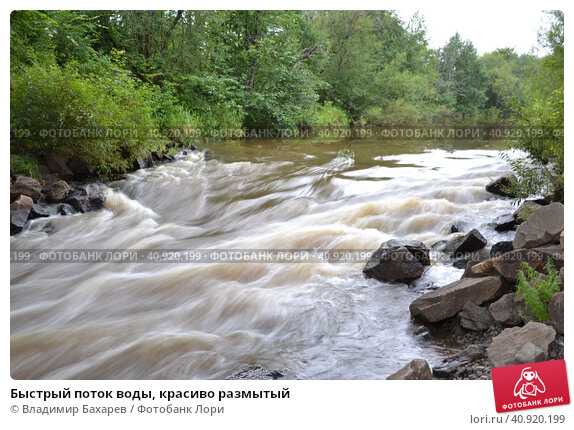 К чему снится купаться в реке 🏊 - топ-43 толкования ❗ по сонникам: что значит во сне плавать в речке в грязной и мутной либо чистой воде с людьми, друзьями или одному