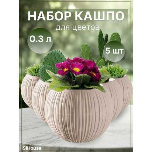 К чему снятся комнатные цветы в горшках на подоконнике
