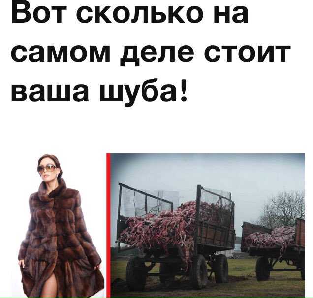 Сон про шубу норковую: что значит увидеть мужчине или женщине