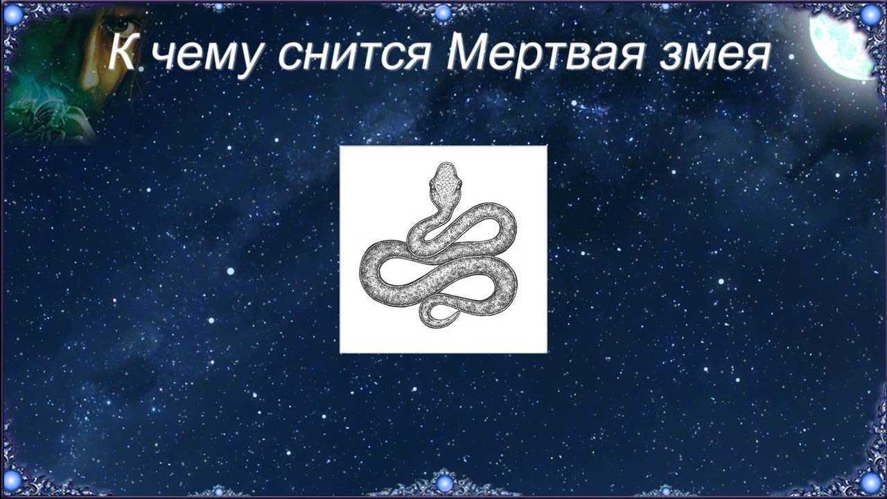 К чему снятся змеи мужчине?