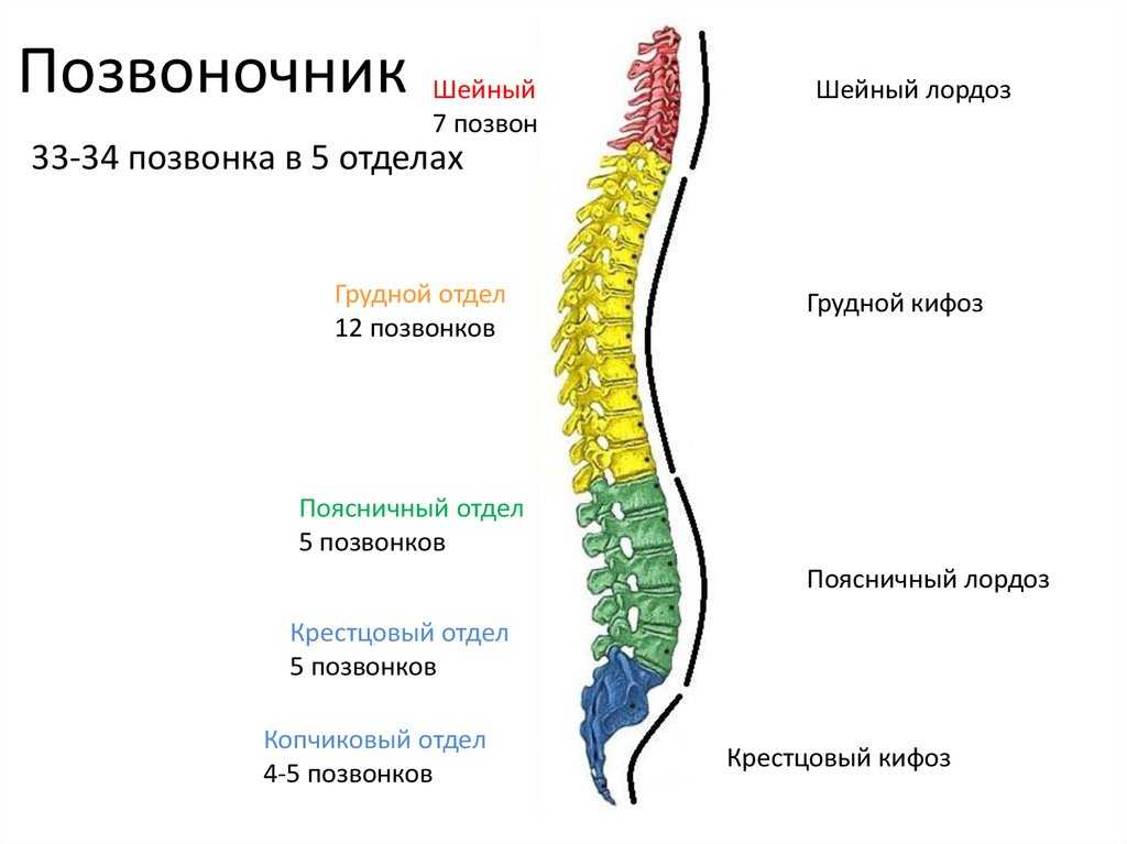 К чему снится змея?