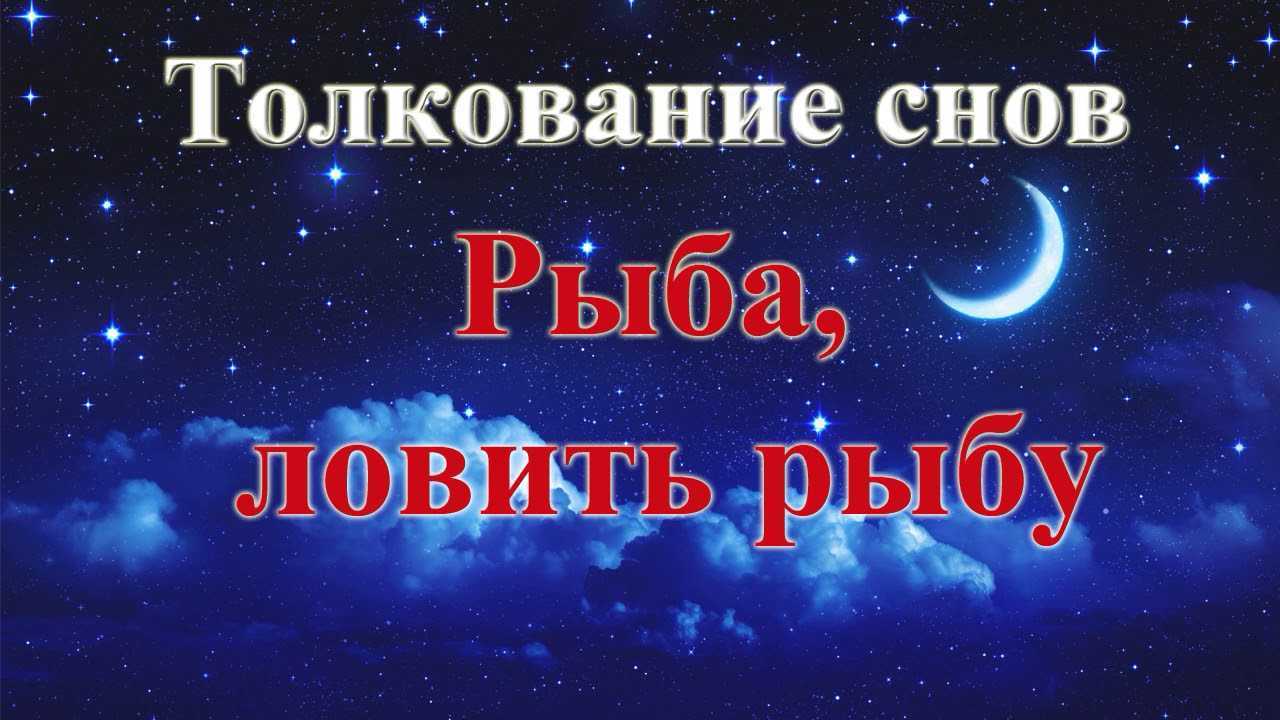 Сонник новый год | гороскопы 365