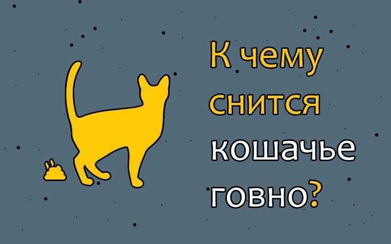 Мышиная лихорадка симптомы, лечение, опасность заболевания, как оно передается