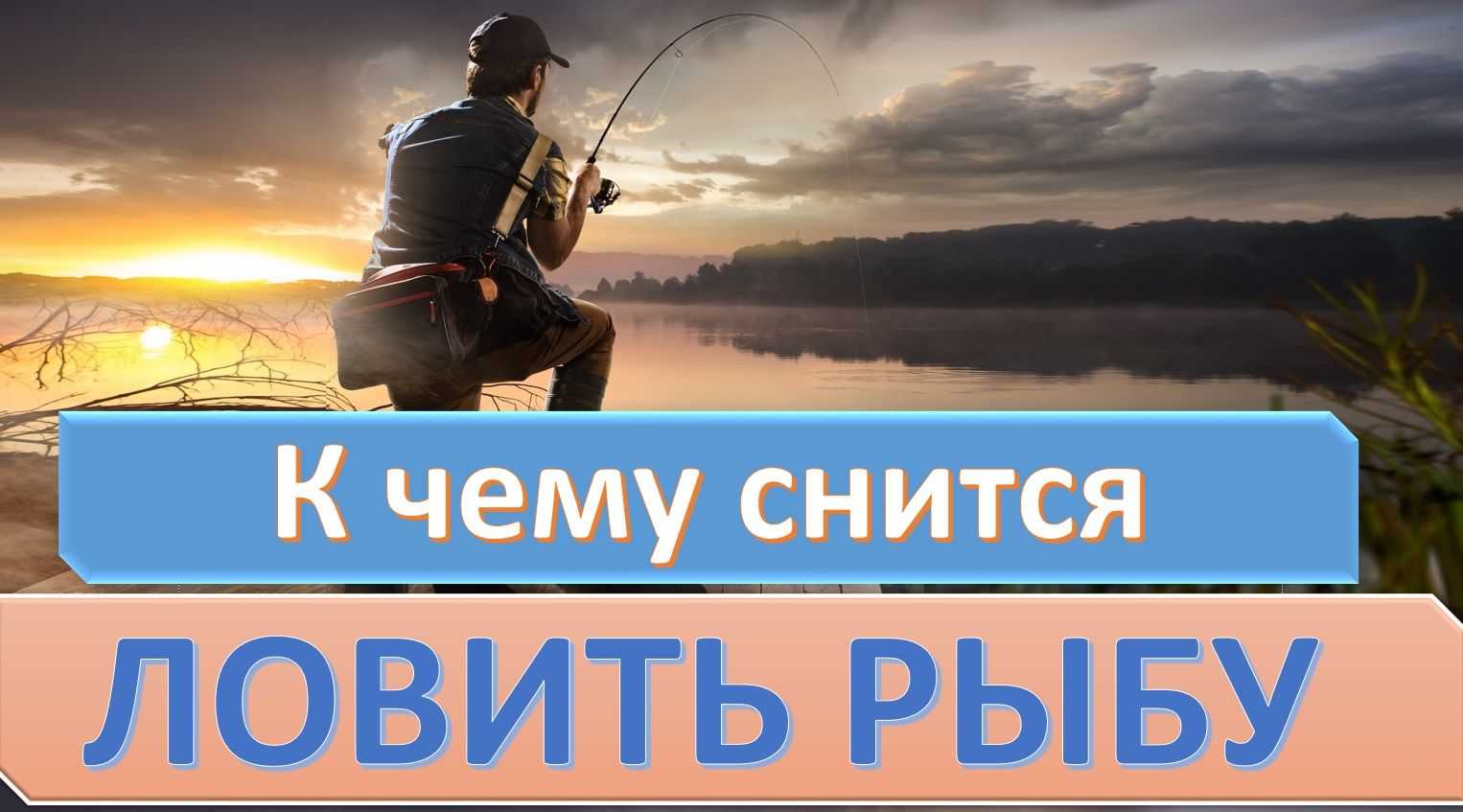 К чему снится ловить рыбу во сне — толкование для женщины