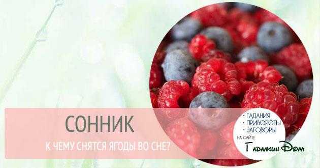 К чему снится собирать ягоды: в лесу, красные, мелкие, клубнику, малину