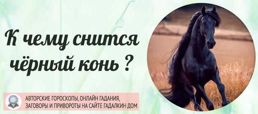 Много динозавров