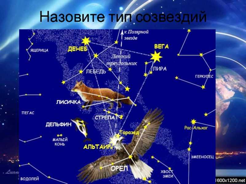 Созвездие орёл: описание звёзд, схема, как найти на звёздном небе, легенда названия, интересные факты