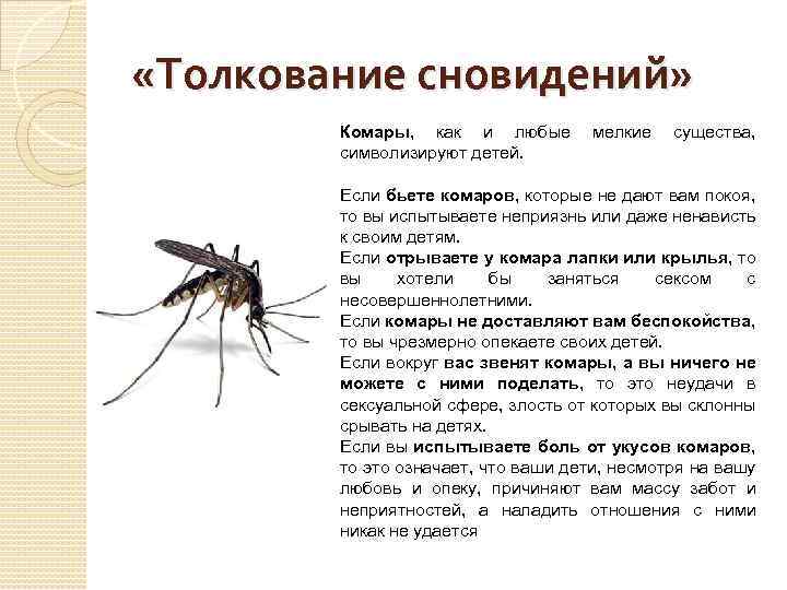 Сонник онлайн – толкование снов бесплатно