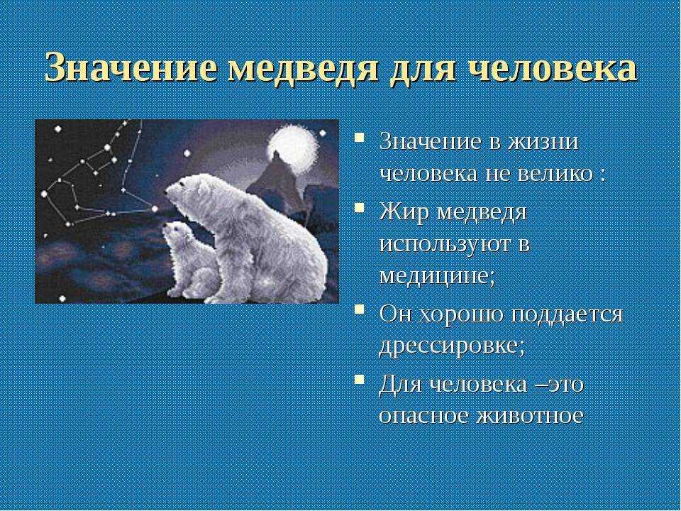 Медведи: сонник для женщины