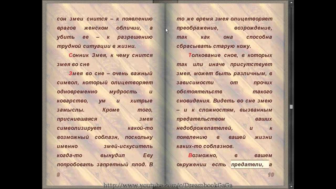 К чему снится убить змею 🐍 — толкования по 41 ❗ соннику: что означает для мужчины и женщины убивать во сне руками, палкой или лопатой зеленую, желтую либо черную змейку