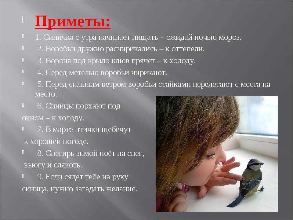 К чему снятся крылья птицы и у человека; толкование по сонникам, если ребенок видит крылышки снитча