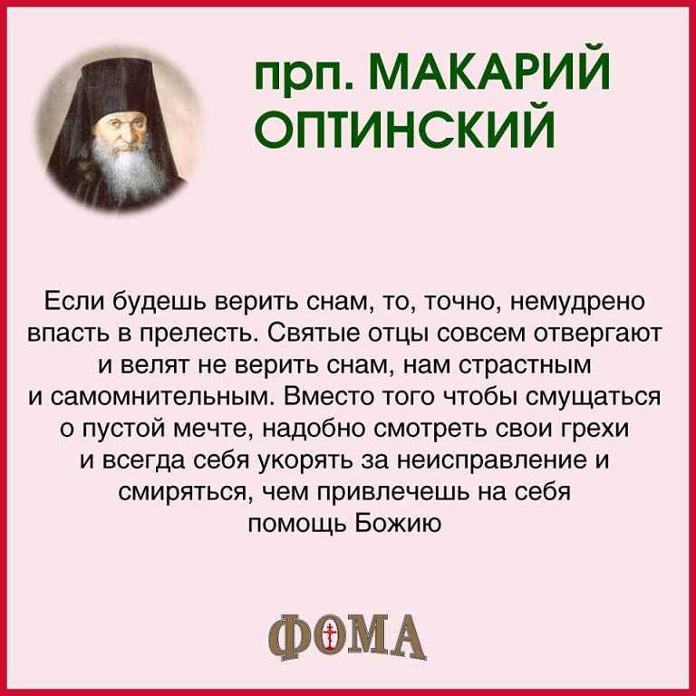 К чему по соннику снится слон