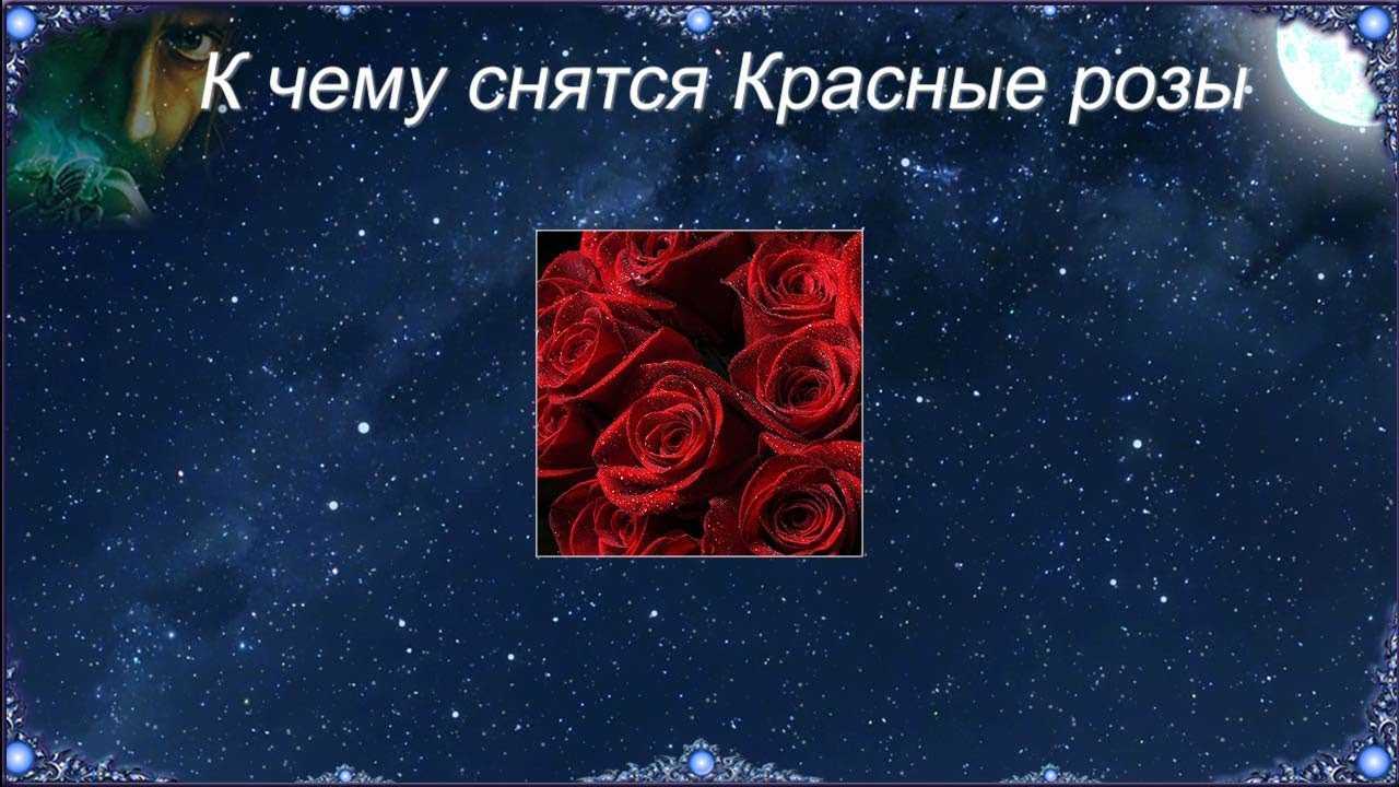 Сонник цветы, к чему снятся цветы во сне