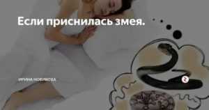 Укус змеи гадюки