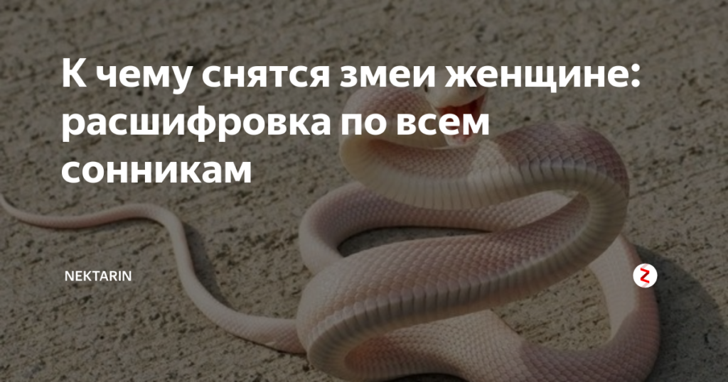 К чему снится убить змею: хорошо ли это. основные толкования к чему снится убить змею: ножом или голыми руками - автор екатерина данилова