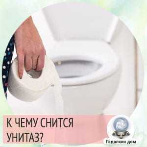 Что по соннику означает туалет