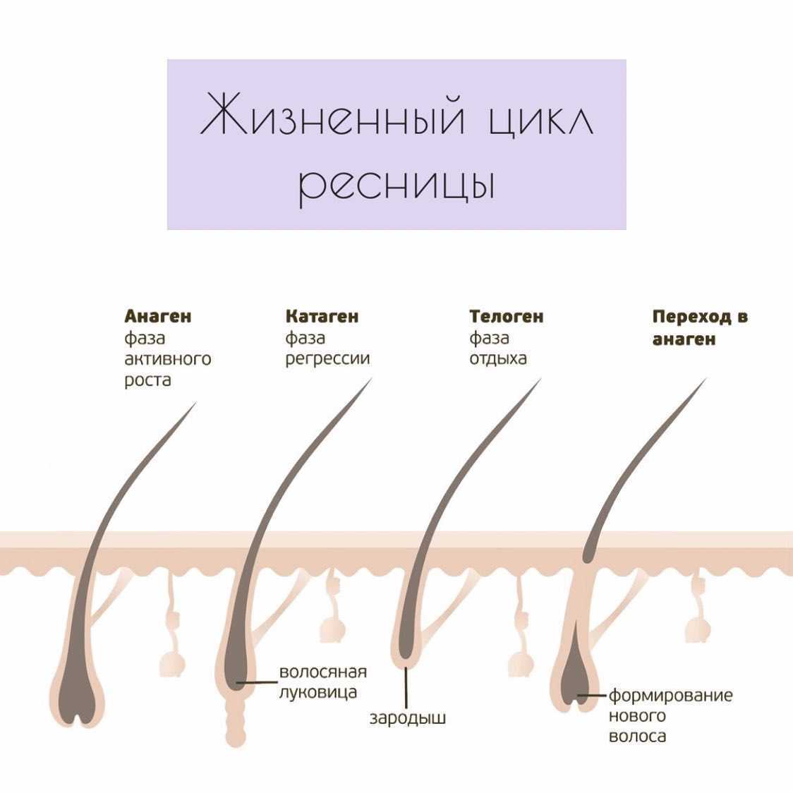 Выросли волосы на лице