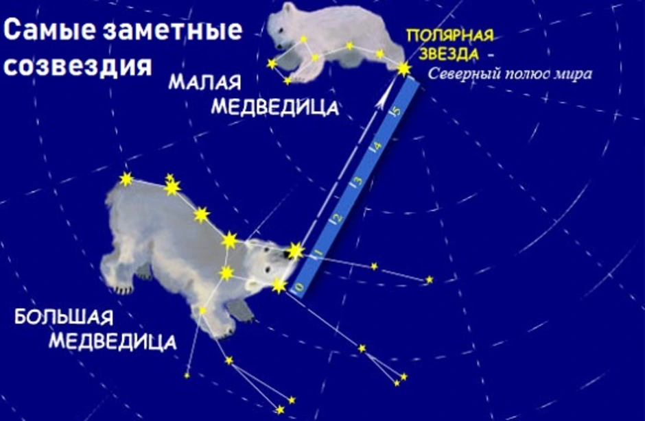 Созвездие малая медведица