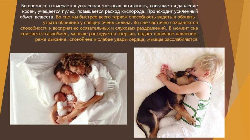 Сонник: если приснилась мать