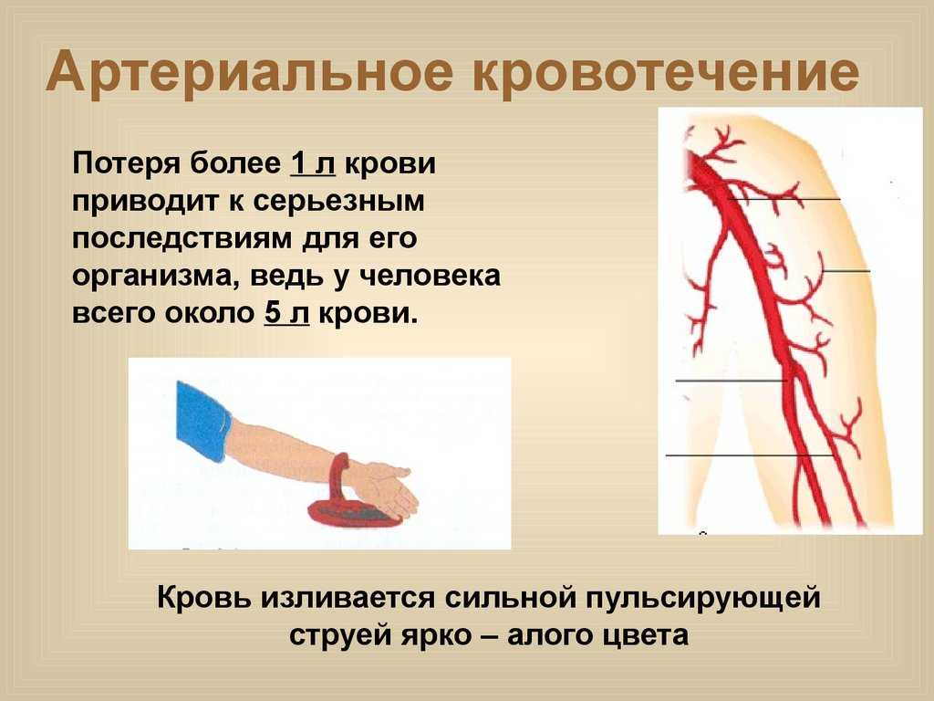 Сонник вены на ногах. «вена к чему снится во сне? если видишь во сне вена, что значит? синие вены сонник