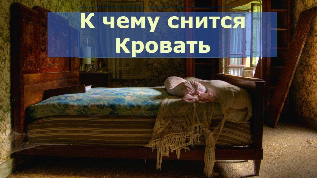 Зеленый диван во сне. к чему снится диван: сонник