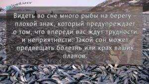 К чему снится резать рыбу: полное толкование сонниками