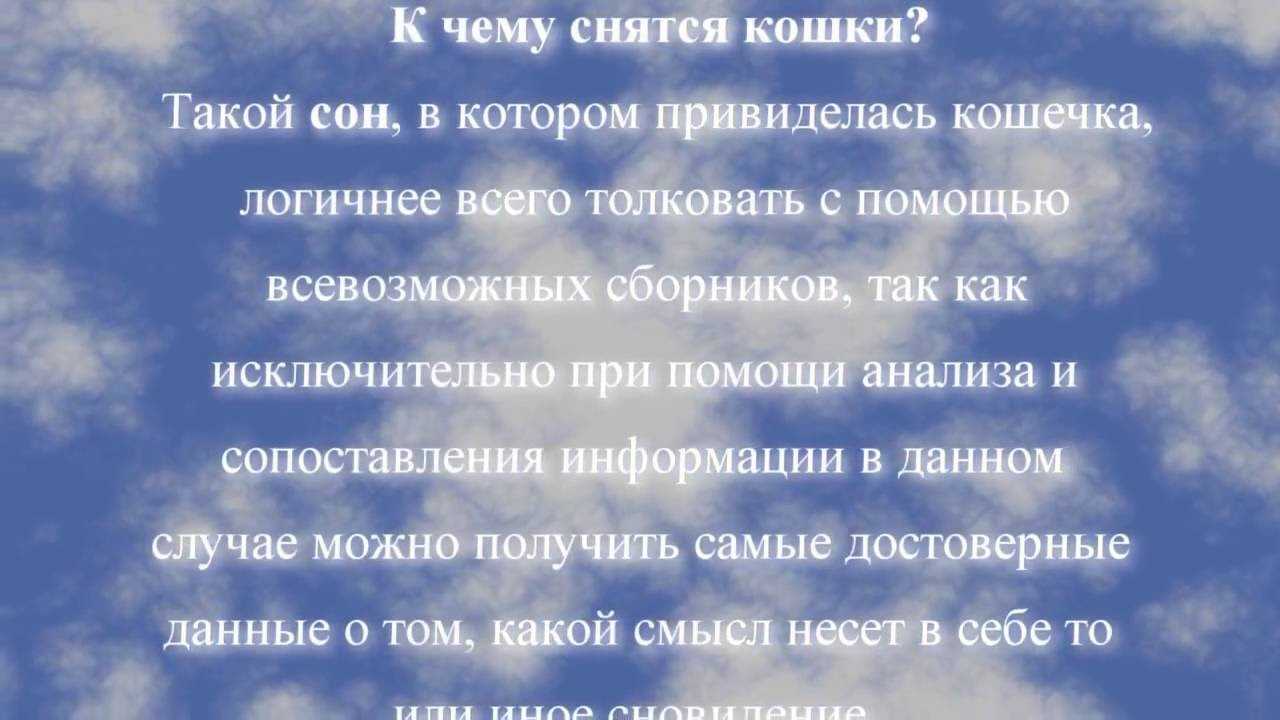 К чему снится серый кот - трактование сновидения