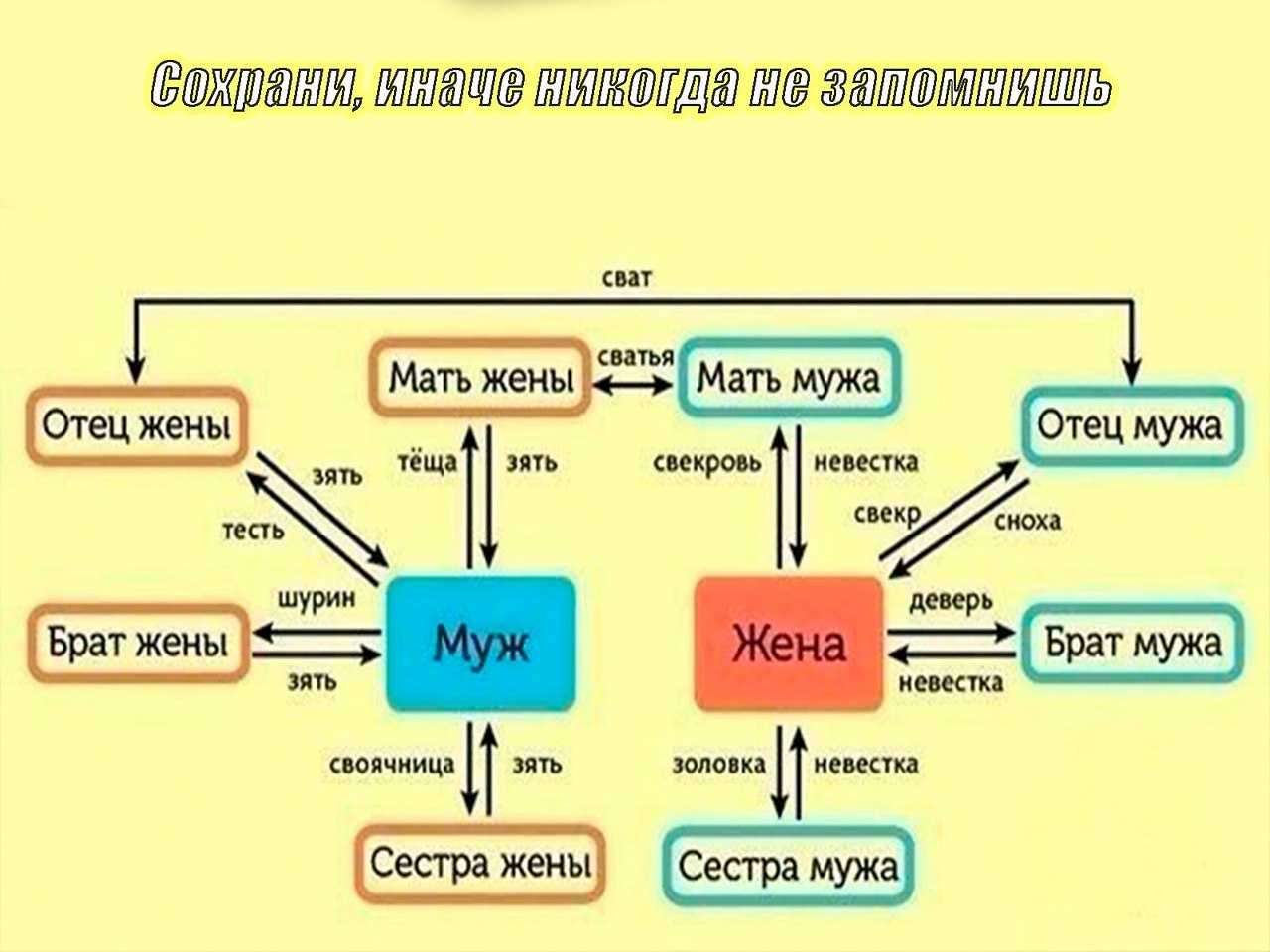К чему снится свадьба с двоюродным братом. к чему снится своя свадьба с братом: значение и смысл сна