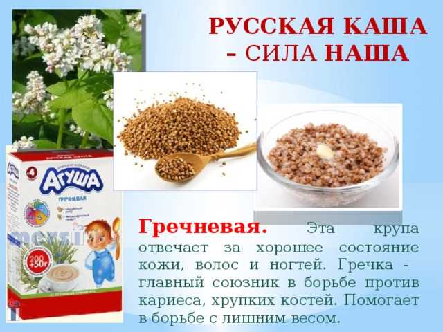К чему снится гречка: варить или кушать гречневую кашу, рассыпать крупу