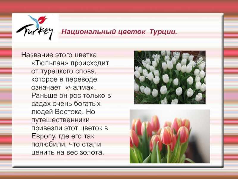 К чему снится золото: что значит увидеть золотые украшения во сне