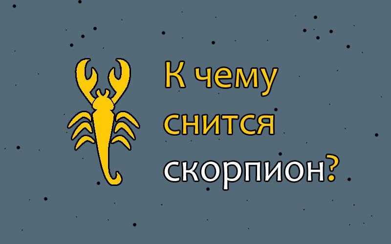 К чему снится скорпион: толкования снов, в которых пришлось увидеть или убить красного или чёрного членистоногого