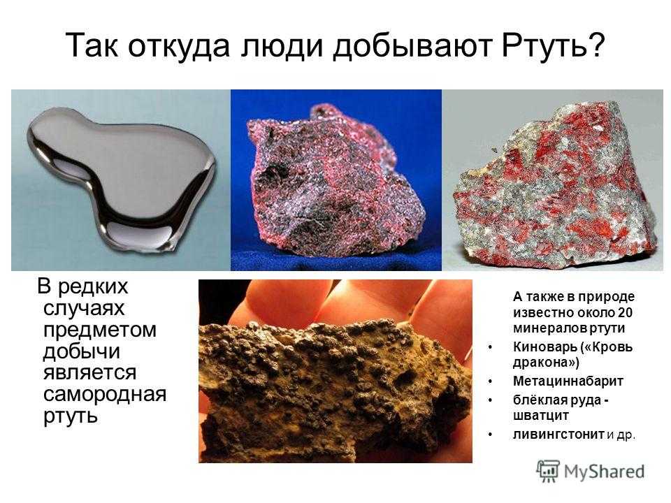 К чему снится градусник?