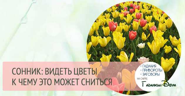 Собирать цветы во сне: толкование