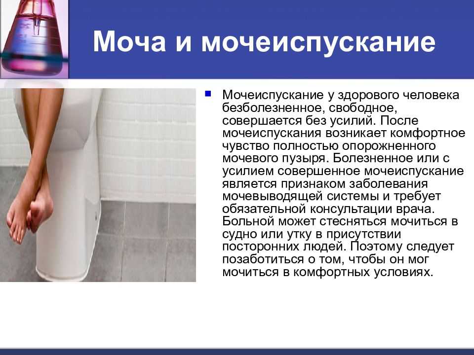 Сонник: снится моча чужого человека, мочеиспускание - к чему писать во сне?