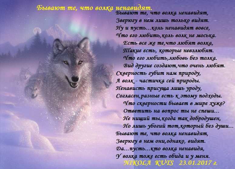 К чему снится убивать волка — 32 трактовки сна
