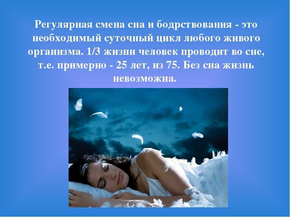 К чему снятся крокодилы. сонники про крокодилов во сне женщины