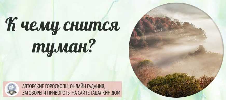 Сонник онлайн – толкование снов бесплатно