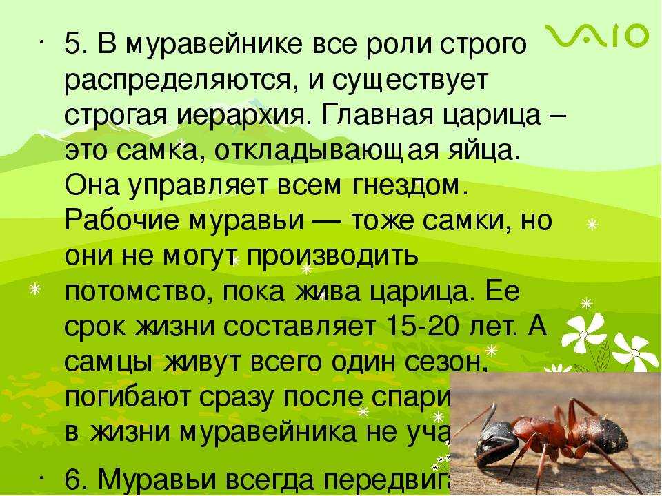Незнакомый мужчина во сне: толкование разных сонников