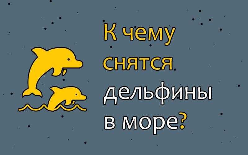 К чему снятся дельфины? основные толкования разных сонников - к чему снится стая дельфинов или дельфин-одиночка - автор екатерина данилова - журнал женское мнение