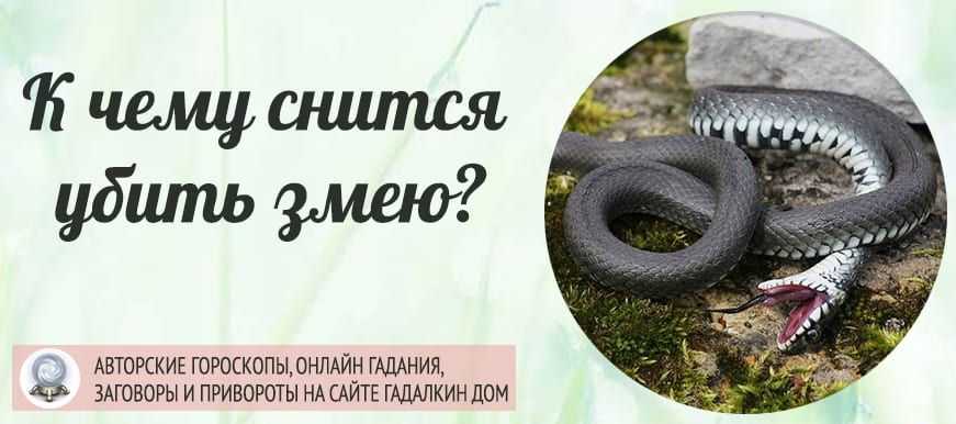 К чему снится отрезать голову: значение и толкование сна