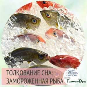К чему снится замороженная рыба? толкование по 12 сонникам